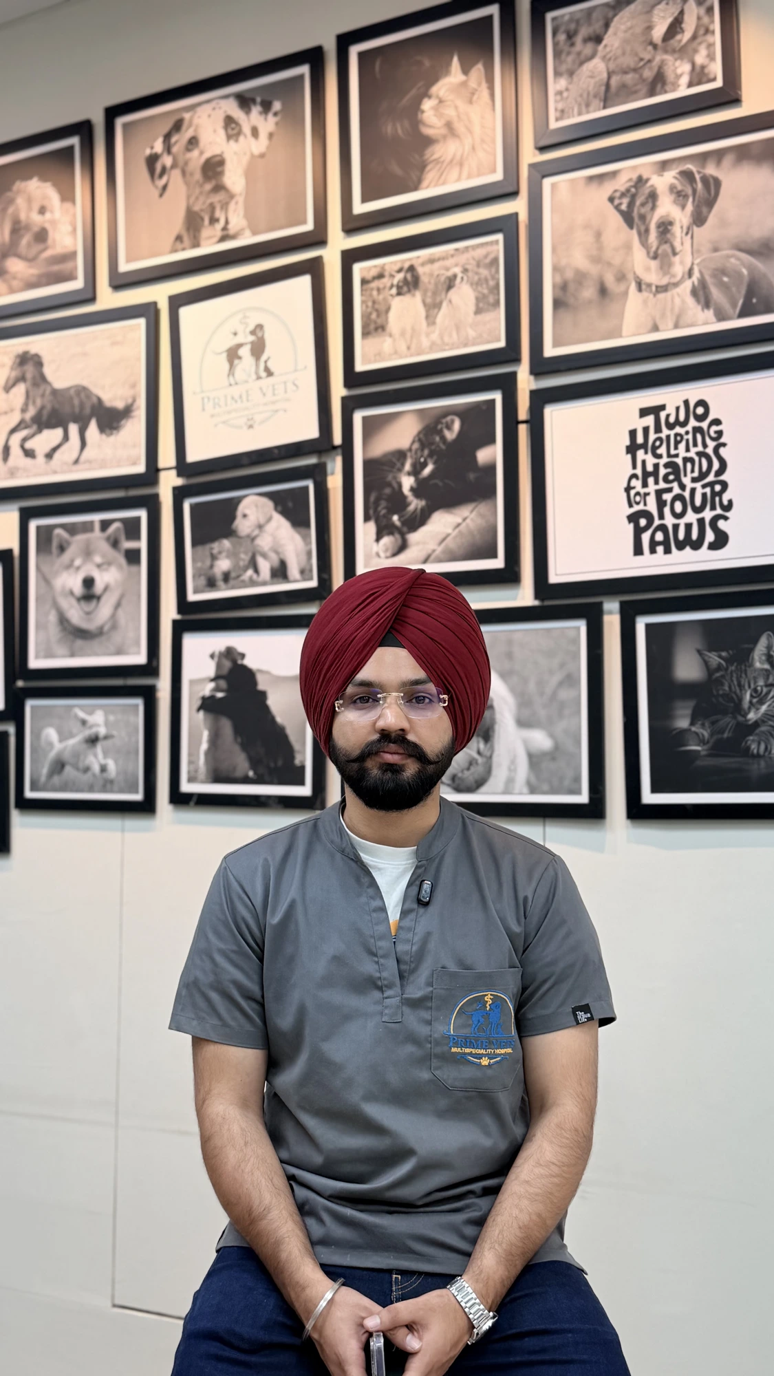 Digital X-ray imaging for pets